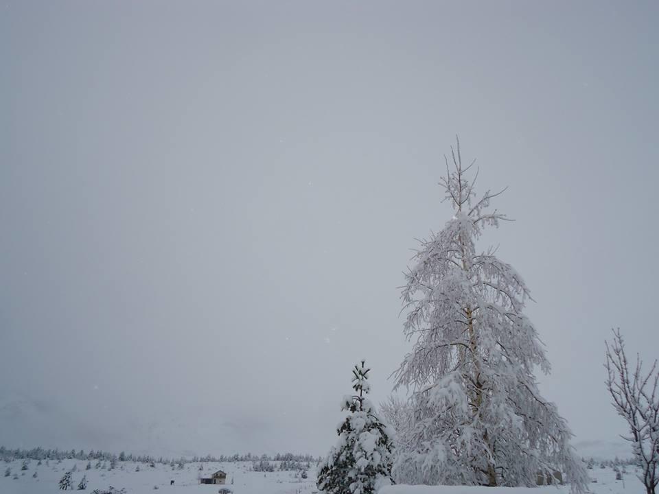 Rudo Polje Vikendica Jela Blidinjeヴィラ エクステリア 写真