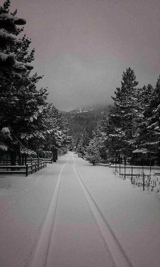 Rudo Polje Vikendica Jela Blidinjeヴィラ エクステリア 写真