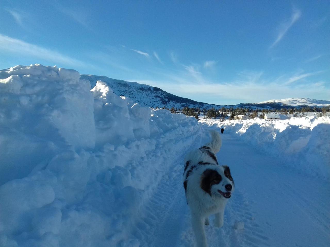 Rudo Polje Vikendica Jela Blidinjeヴィラ エクステリア 写真